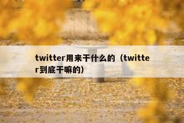 twitter用来干什么的（twitter到底干嘛的） 第1张