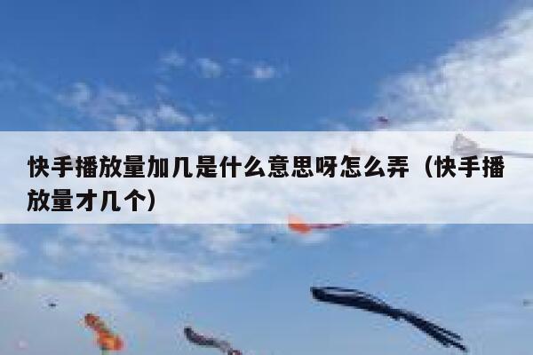 快手播放量加几是什么意思呀怎么弄(快手播放量才几个) 第1张 快手播放量加几是什么意思呀怎么弄(快手播放量才几个) 第1张