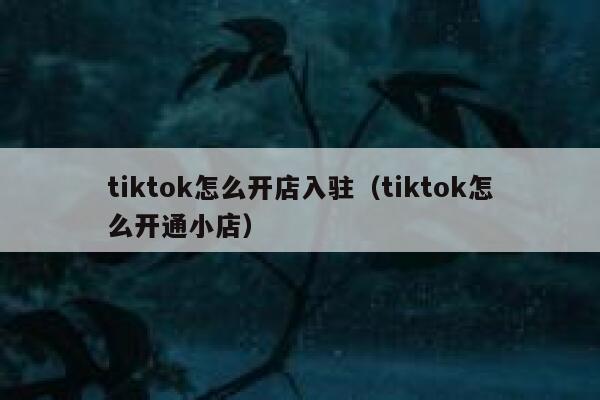 tiktok怎么开店入驻（tiktok怎么开通小店） 第1张