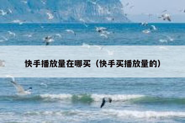 快手播放量在哪买(快手买播放量的) 第1张 快手播放量在哪买(快手买播放量的) 第1张