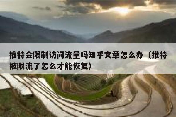 推特会限制访问流量吗知乎文章怎么办（推特被限流了怎么才能恢复） 第1张