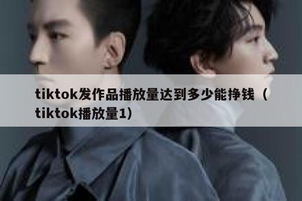 tiktok发作品播放量达到多少能挣钱（tiktok播放量1） 第1张