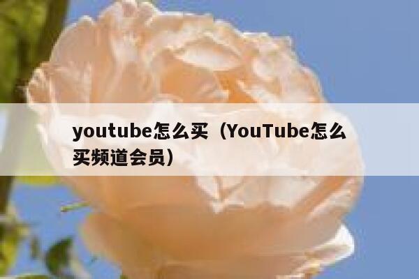 youtube怎么买(YouTube怎么买频道会员) 第1张 youtube怎么买(YouTube怎么买频道会员) 第1张