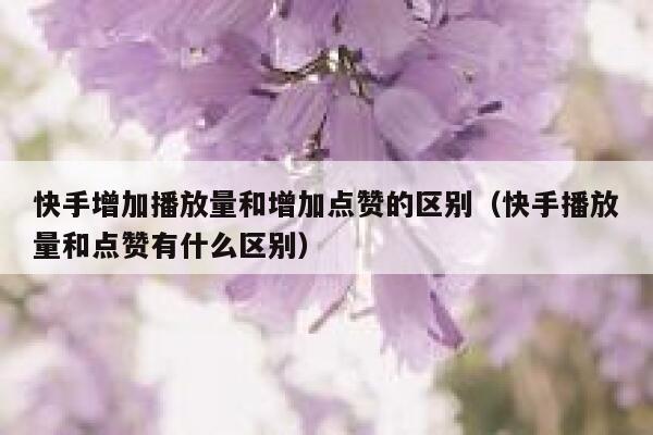 快手增加播放量和增加点赞的区别(快手播放量和点赞有什么区别) 第1张 快手增加播放量和增加点赞的区别(快手播放量和点赞有什么区别) 第1张