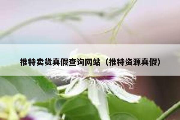 推特卖货真假查询网站(推特资源真假) 第1张 推特卖货真假查询网站(推特资源真假) 第1张