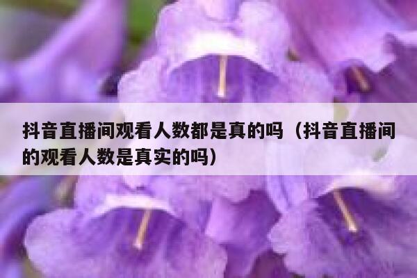 抖音直播间观看人数都是真的吗(抖音直播间的观看人数是真实的吗) 第1张 抖音直播间观看人数都是真的吗(抖音直播间的观看人数是真实的吗) 第1张