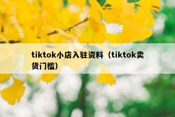 tiktok小店入驻资料（tiktok卖货门槛） 第1张