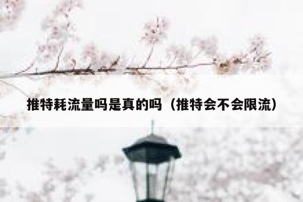 推特耗流量吗是真的吗（推特会不会限流） 第1张