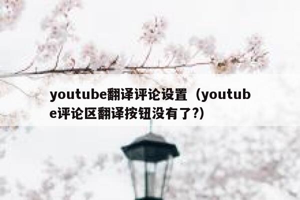 youtube翻译评论设置（youtube评论区翻译按钮没有了?） 第1张