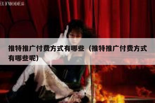 推特推广付费方式有哪些（推特推广付费方式有哪些呢） 第1张