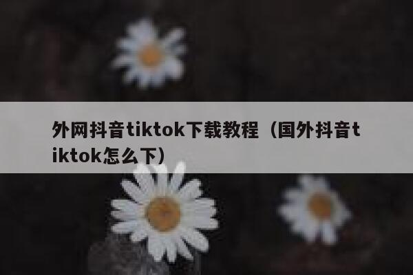 外网抖音tiktok下载教程（国外抖音tiktok怎么下） 第1张