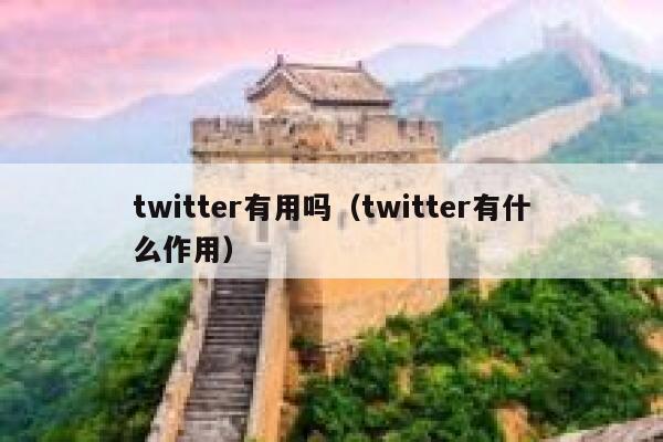 twitter有用吗(twitter有什么作用) 第1张 twitter有用吗(twitter有什么作用) 第1张