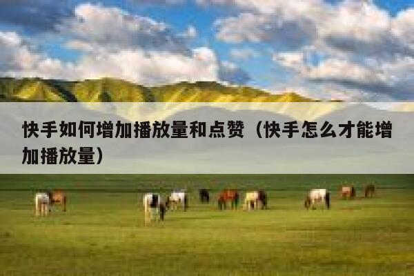 快手如何增加播放量和点赞(快手怎么才能增加播放量) 第1张 快手如何增加播放量和点赞(快手怎么才能增加播放量) 第1张