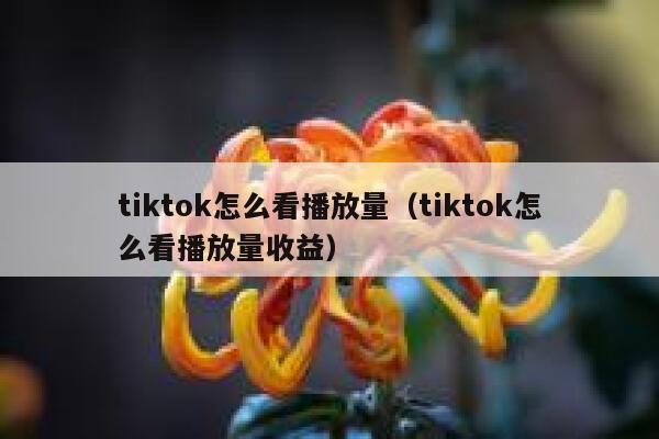 tiktok怎么看播放量(tiktok怎么看播放量收益) 第1张 tiktok怎么看播放量(tiktok怎么看播放量收益) 第1张