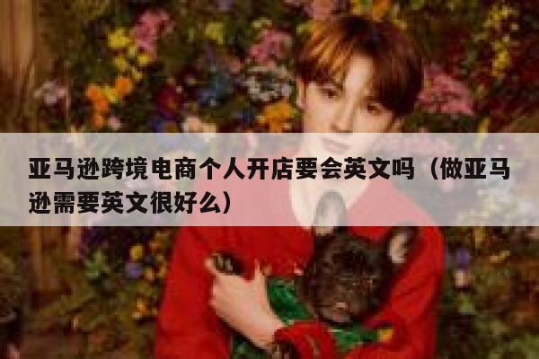 亚马逊跨境电商个人开店要会英文吗（做亚马逊需要英文很好么） 第1张