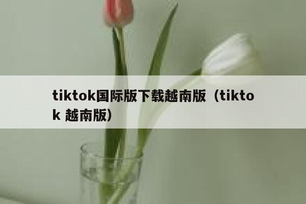 tiktok国际版下载越南版(tiktok 越南版) 第1张 tiktok国际版下载越南版(tiktok 越南版) 第1张