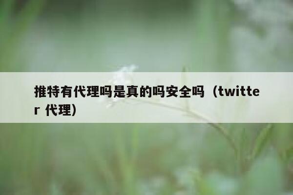 推特有代理吗是真的吗安全吗(twitter 代理) 第1张 推特有代理吗是真的吗安全吗(twitter 代理) 第1张