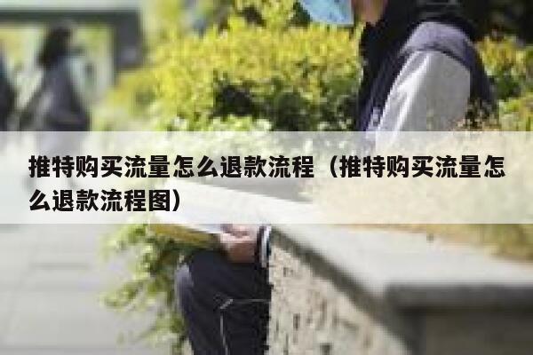 推特购买流量怎么退款流程（推特购买流量怎么退款流程图） 第1张