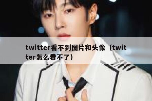 twitter看不到图片和头像（twitter怎么看不了） 第1张