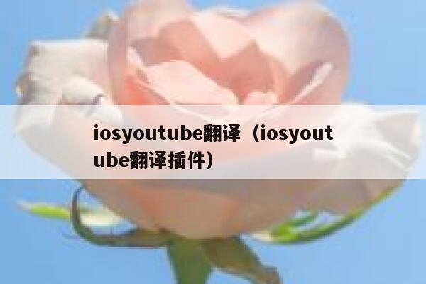 iosyoutube翻译(iosyoutube翻译插件) 第1张 iosyoutube翻译(iosyoutube翻译插件) 第1张