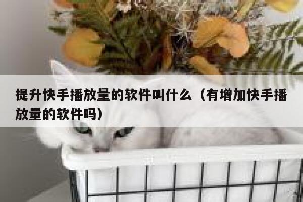 提升快手播放量的软件叫什么（有增加快手播放量的软件吗） 第1张