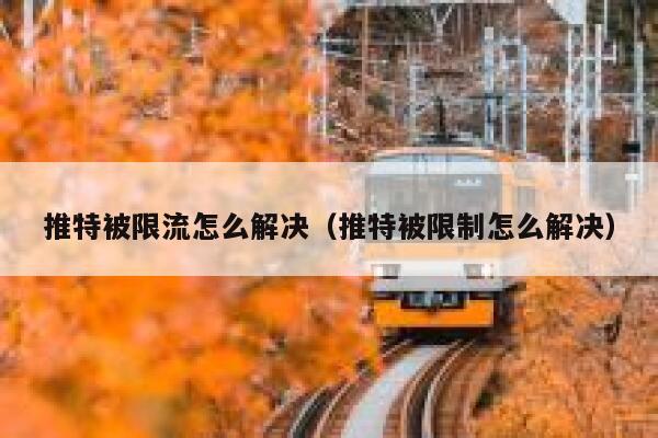 推特被限流怎么解决（推特被限制怎么解决） 第1张