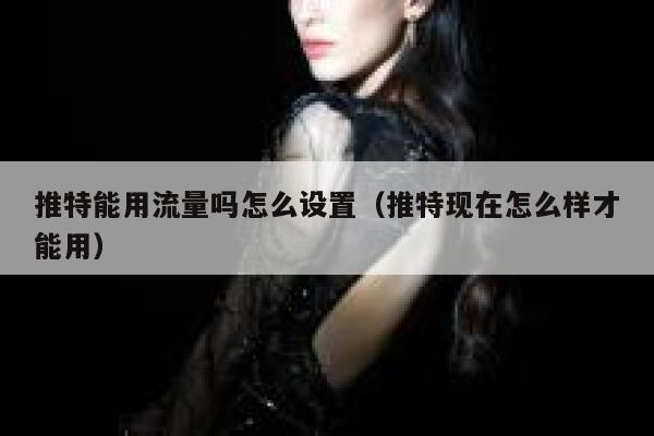 推特能用流量吗怎么设置（推特现在怎么样才能用） 第1张