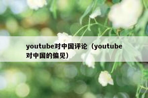 youtube对中国评论（youtube对中国的偏见） 第1张