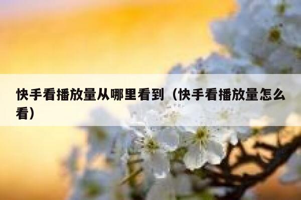 快手看播放量从哪里看到（快手看播放量怎么看） 第1张