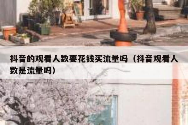 抖音的观看人数要花钱买流量吗(抖音观看人数是流量吗) 第1张 抖音的观看人数要花钱买流量吗(抖音观看人数是流量吗) 第1张