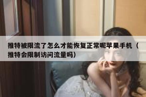 推特被限流了怎么才能恢复正常呢苹果手机(推特会限制访问流量吗) 第1张 推特被限流了怎么才能恢复正常呢苹果手机(推特会限制访问流量吗) 第1张