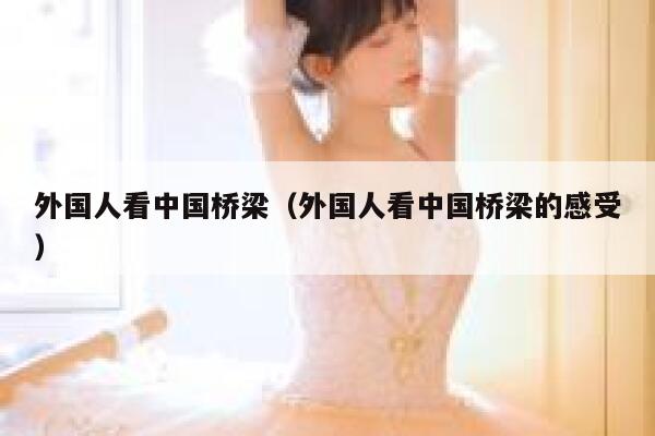 外国人看中国桥梁（外国人看中国桥梁的感受） 第1张