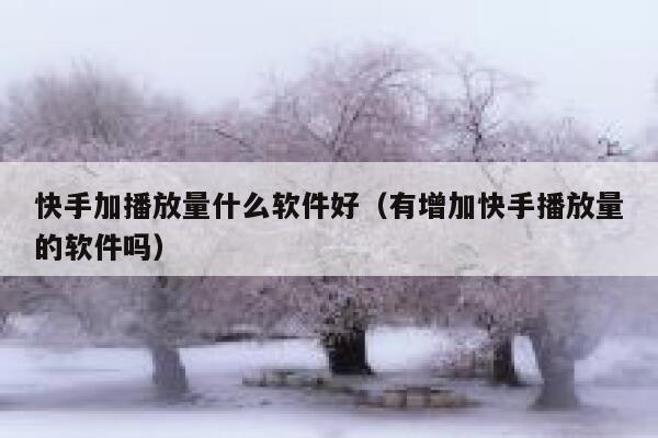 快手加播放量什么软件好（有增加快手播放量的软件吗） 第1张