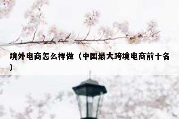 境外电商怎么样做（中国最大跨境电商前十名） 第1张