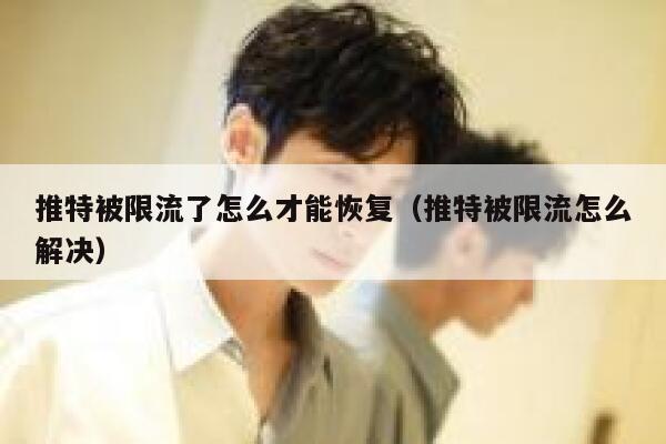 推特被限流了怎么才能恢复（推特被限流怎么解决） 第1张