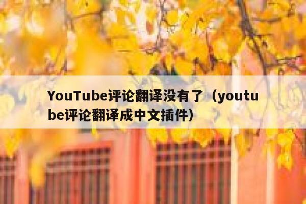 YouTube评论翻译没有了（youtube评论翻译成中文插件） 第1张