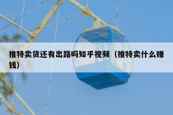 推特卖货还有出路吗知乎视频（推特卖什么赚钱） 第1张