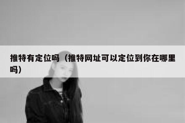 推特有定位吗（推特网址可以定位到你在哪里吗） 第1张