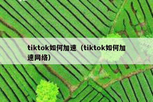 tiktok如何加速（tiktok如何加速网络） 第1张