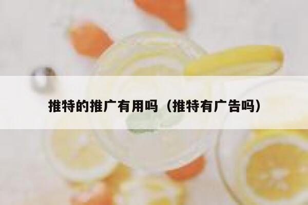 推特的推广有用吗(推特有广告吗) 第1张 推特的推广有用吗(推特有广告吗) 第1张