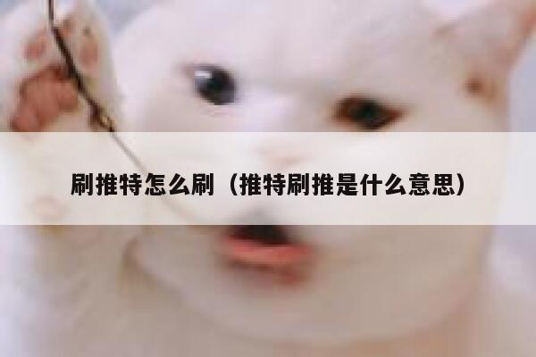 刷推特怎么刷（推特刷推是什么意思） 第1张