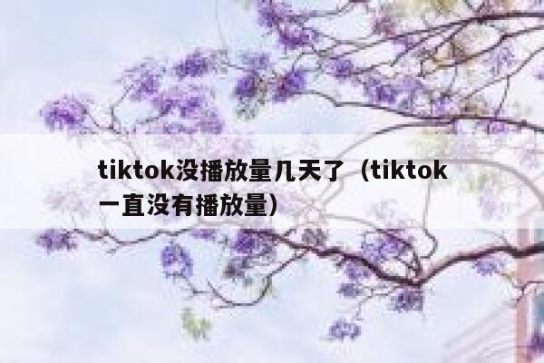 tiktok没播放量几天了(tiktok一直没有播放量) 第1张 tiktok没播放量几天了(tiktok一直没有播放量) 第1张