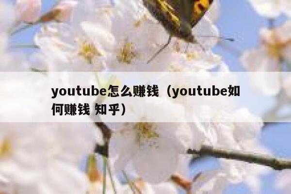 youtube怎么赚钱（youtube如何赚钱 知乎） 第1张