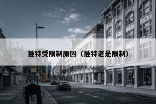 推特受限制原因（推特老是限制） 第1张