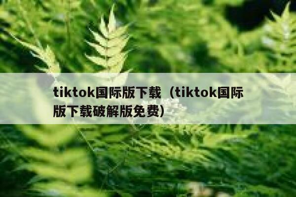 tiktok国际版下载（tiktok国际版下载破解版免费） 第1张