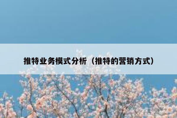 推特业务模式分析(推特的营销方式) 第1张 推特业务模式分析(推特的营销方式) 第1张