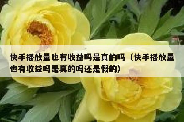 快手播放量也有收益吗是真的吗（快手播放量也有收益吗是真的吗还是假的） 第1张