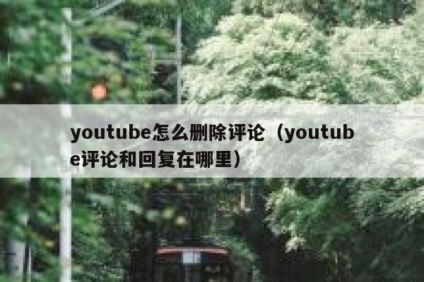 youtube怎么删除评论（youtube评论和回复在哪里） 第1张