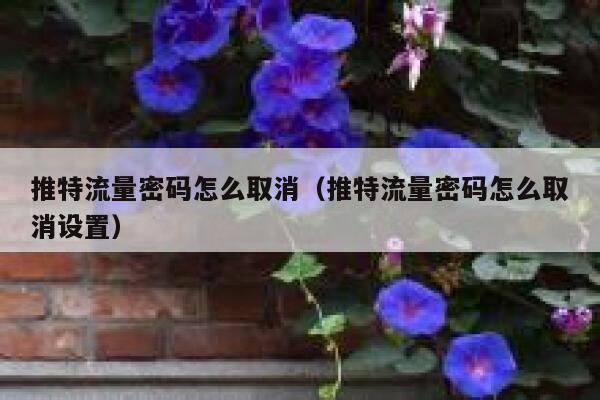 推特流量密码怎么取消（推特流量密码怎么取消设置） 第1张