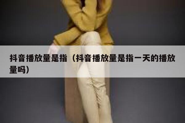 抖音播放量是指（抖音播放量是指一天的播放量吗） 第1张